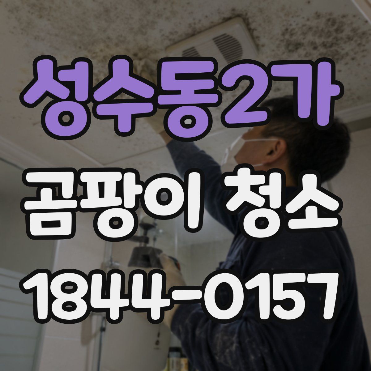 성수동2가 곰팡이 청소