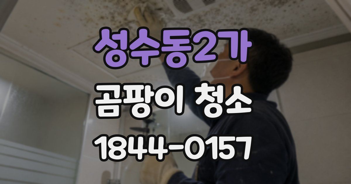 성수동2가 곰팡이 청소