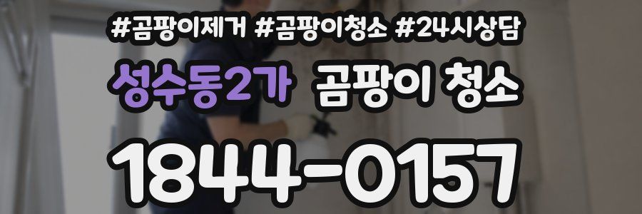 성수동2가 곰팡이 청소