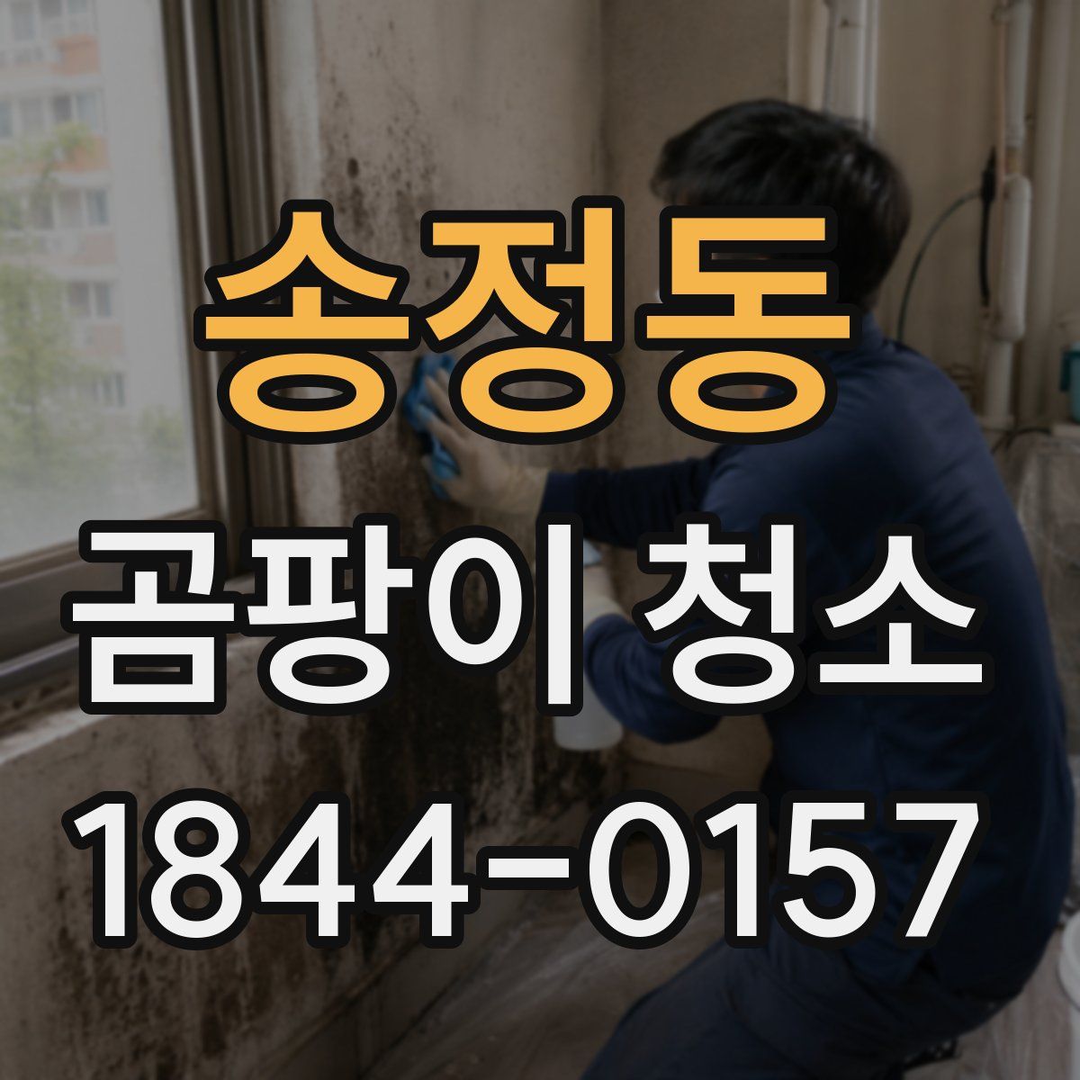 송정동 곰팡이 청소