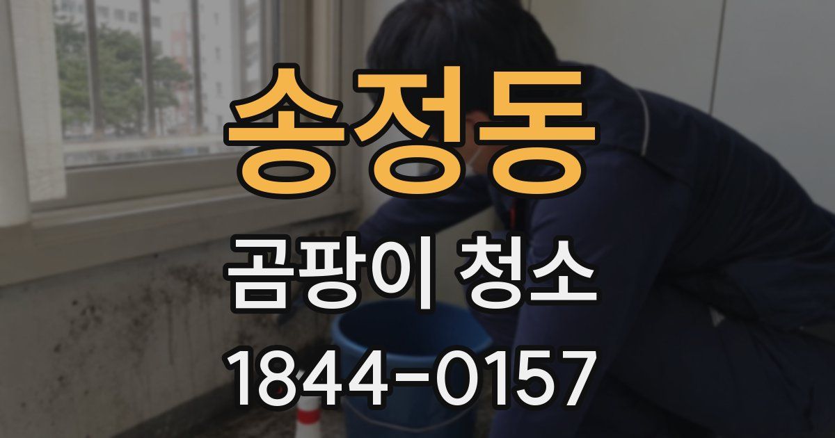 송정동 곰팡이 청소