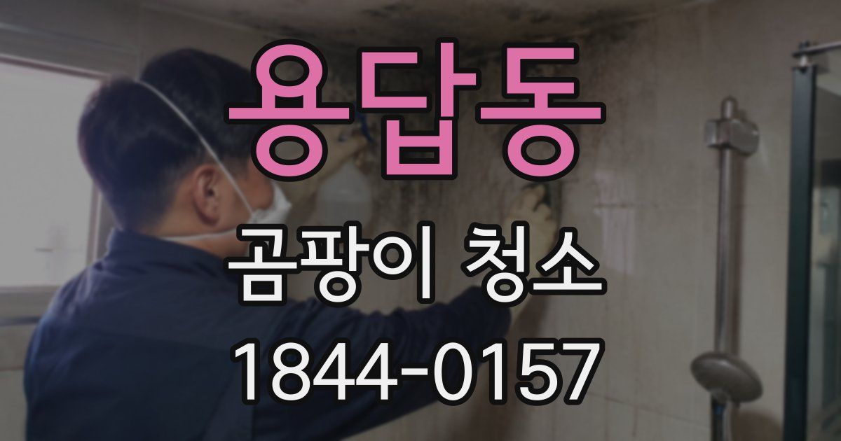 용답동 곰팡이 청소
