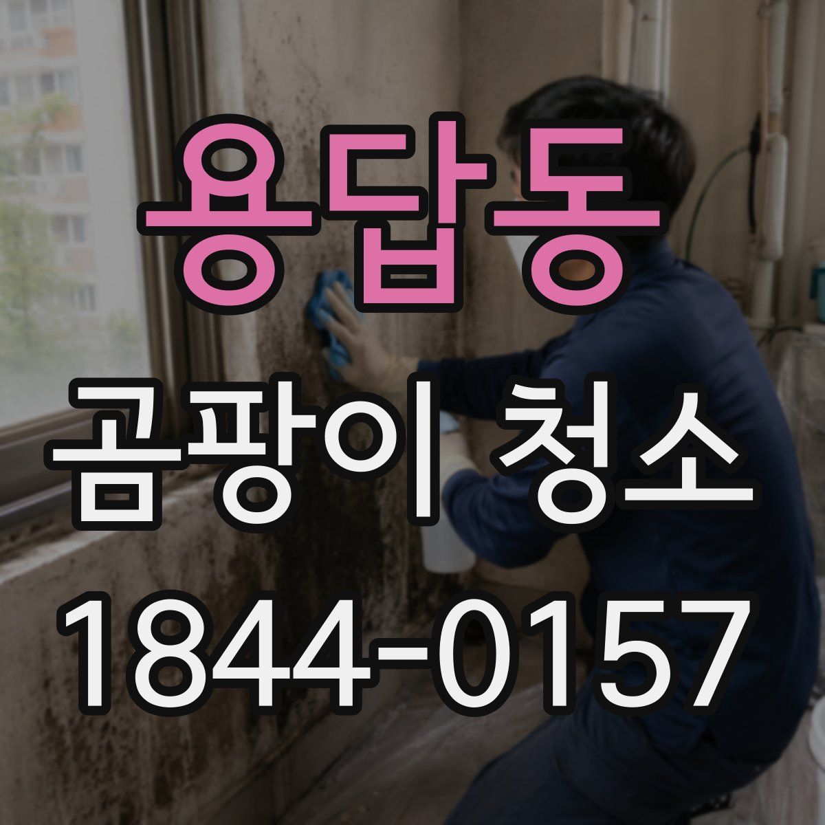 용답동 곰팡이 청소