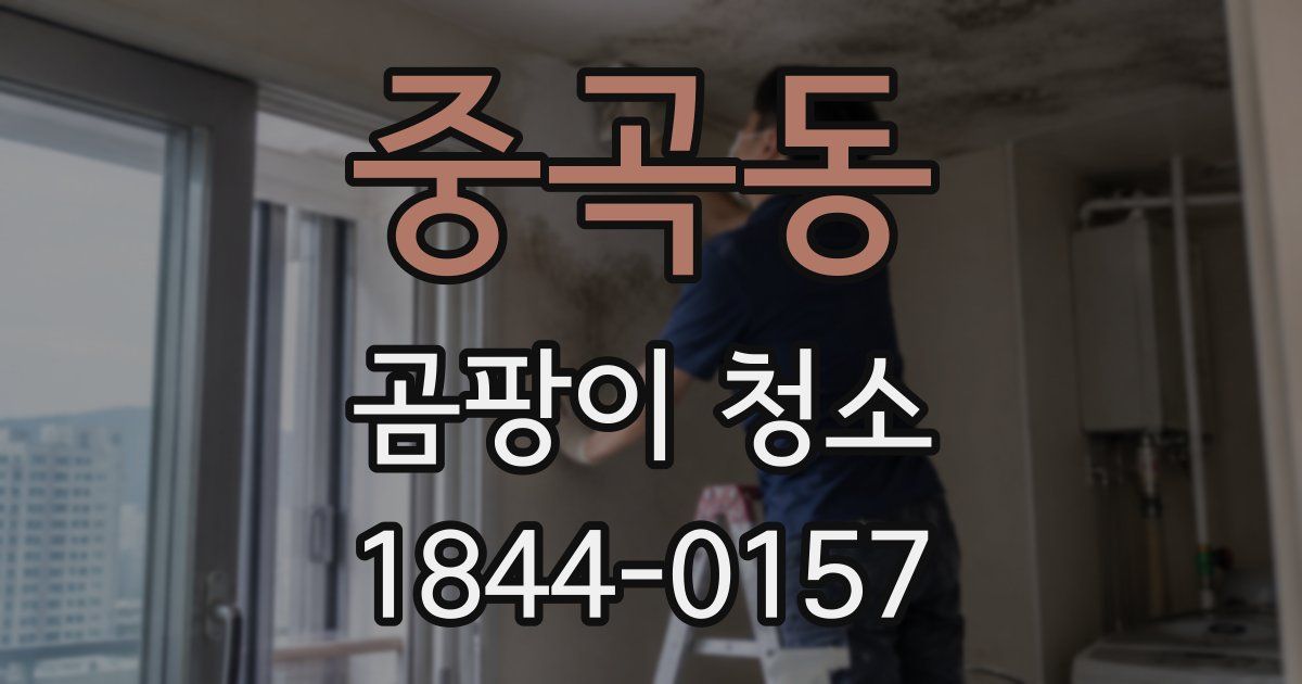 중곡동 곰팡이 청소
