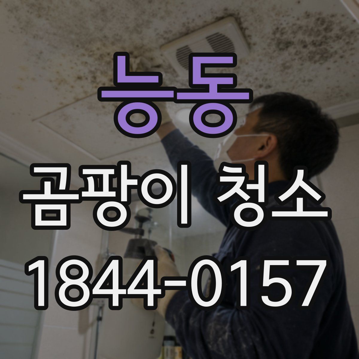 능동 곰팡이 청소