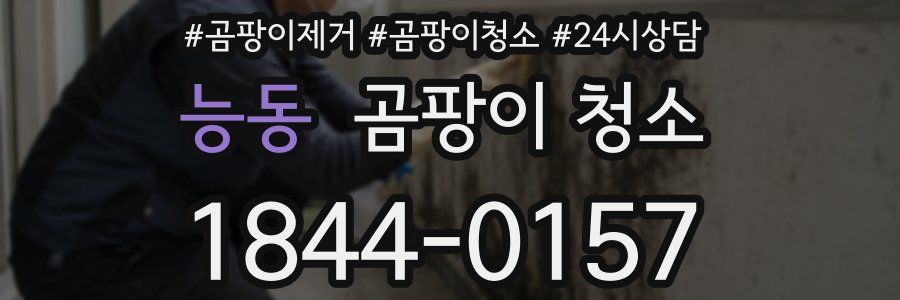능동 곰팡이 청소
