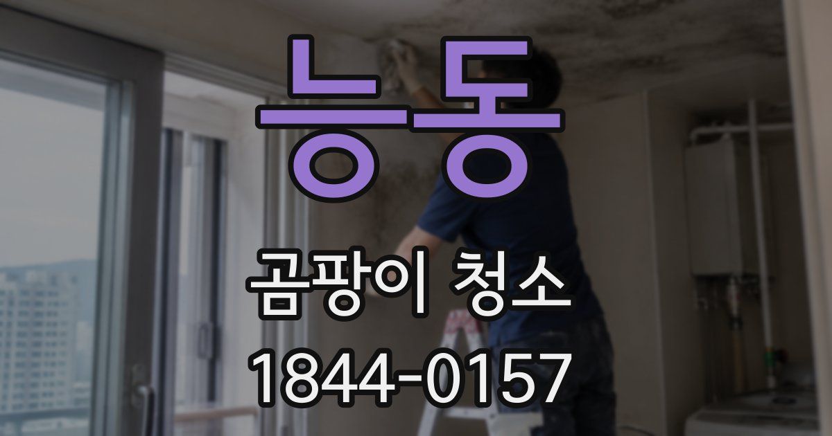 능동 곰팡이 청소