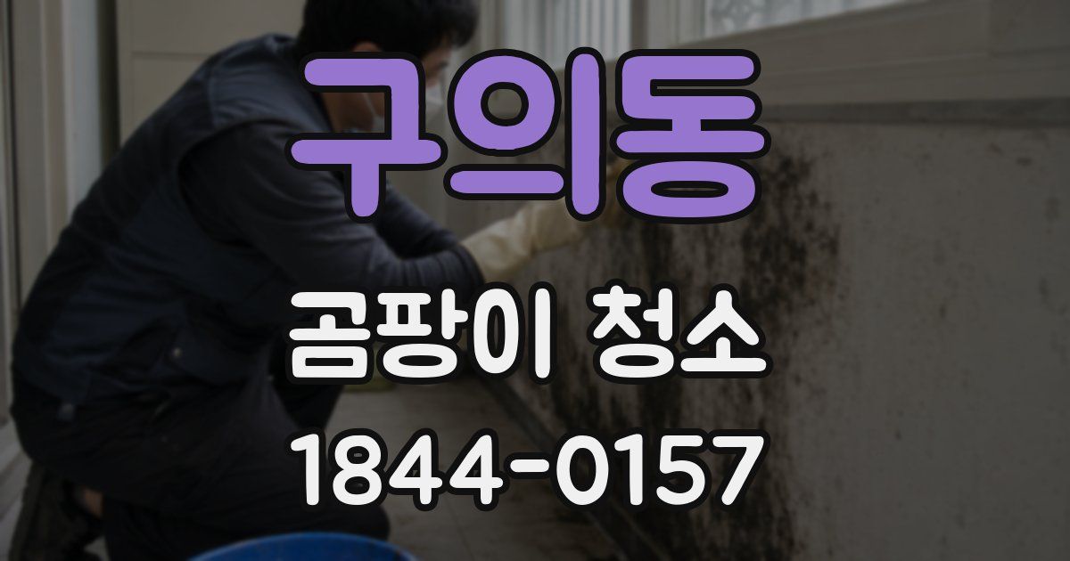 구의동 곰팡이 청소