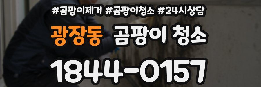 광장동 곰팡이 청소
