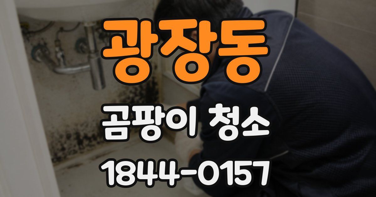 광장동 곰팡이 청소