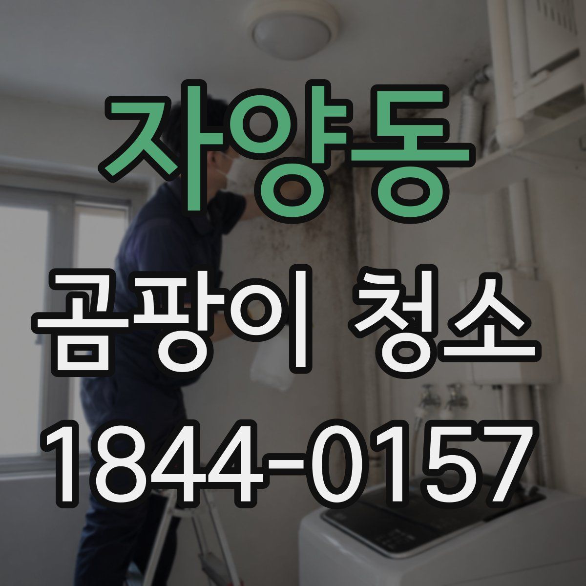 자양동 곰팡이 청소