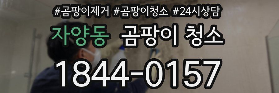 자양동 곰팡이 청소