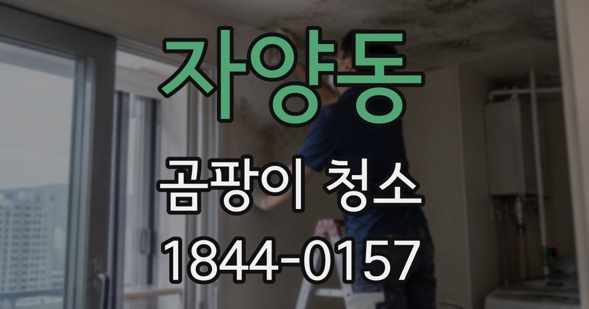 자양동 곰팡이 청소