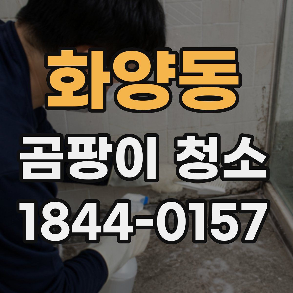 화양동 곰팡이 청소