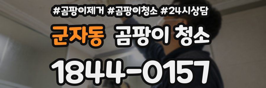 군자동 곰팡이 청소