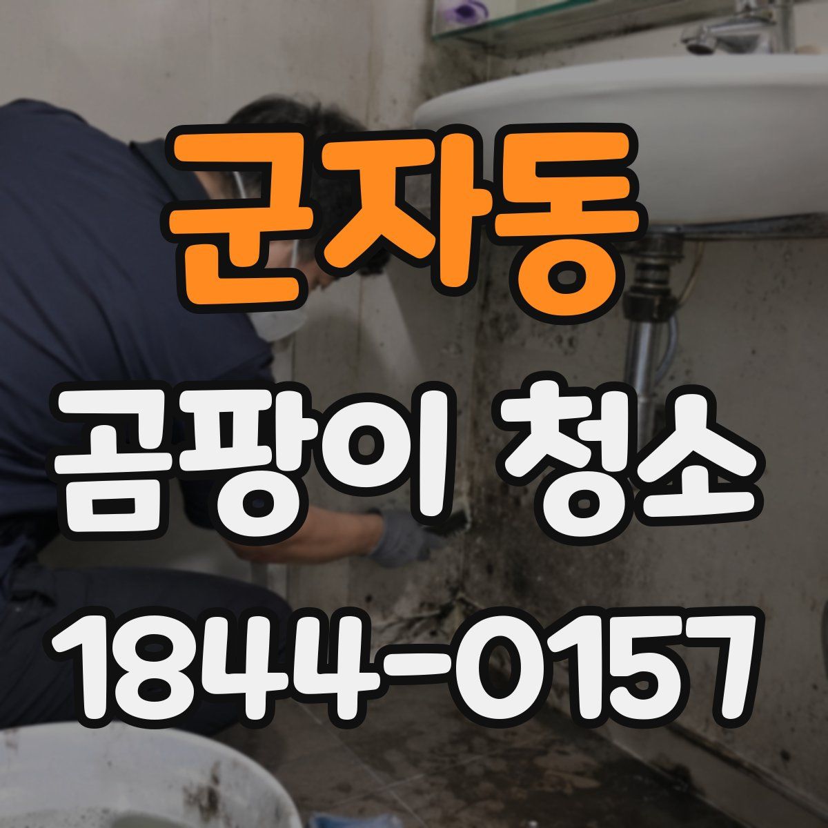 군자동 곰팡이 청소