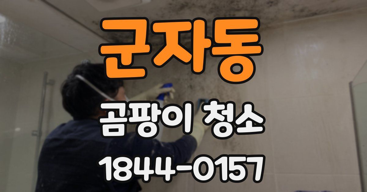 군자동 곰팡이 청소