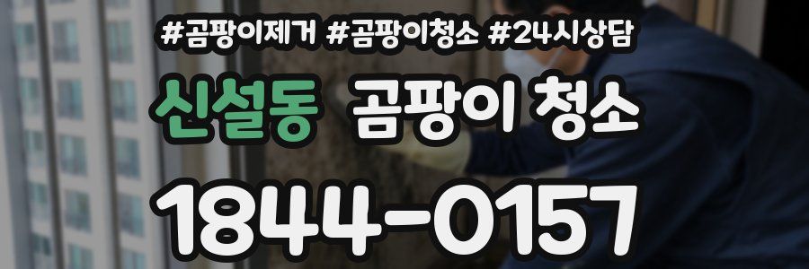신설동 곰팡이 청소