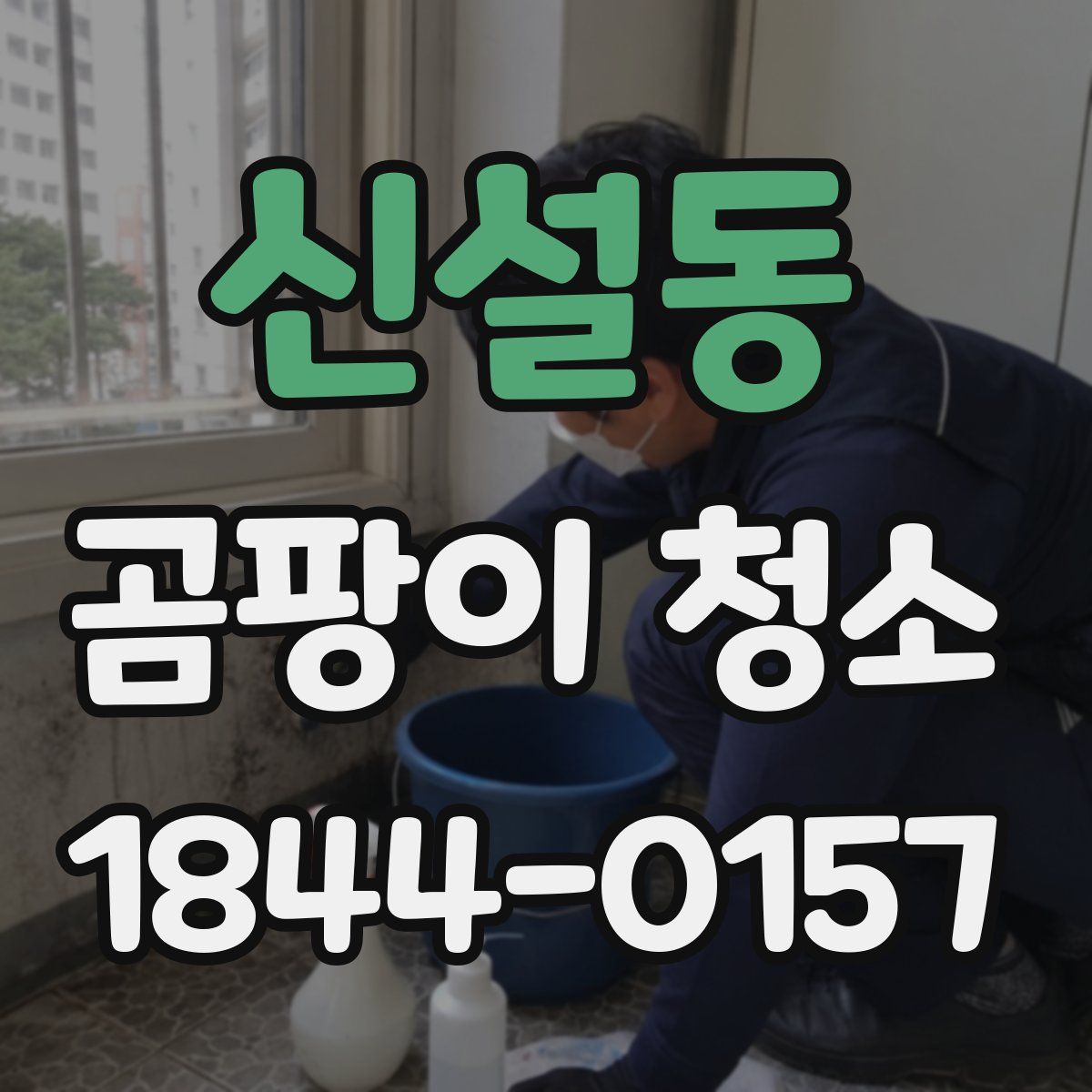 신설동 곰팡이 청소