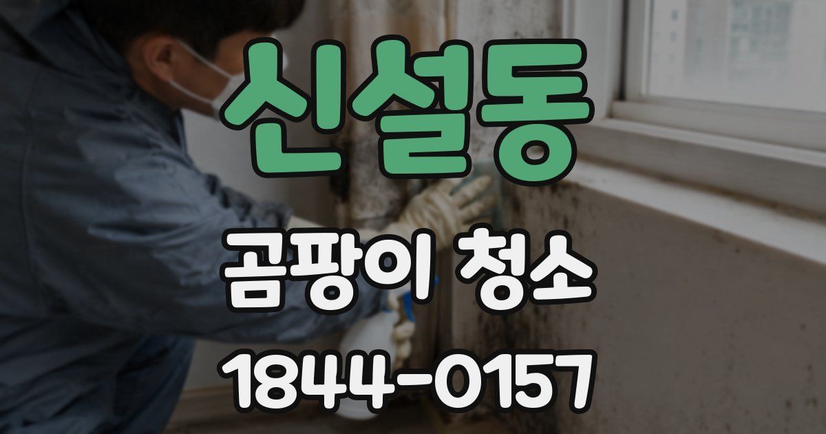 신설동 곰팡이 청소