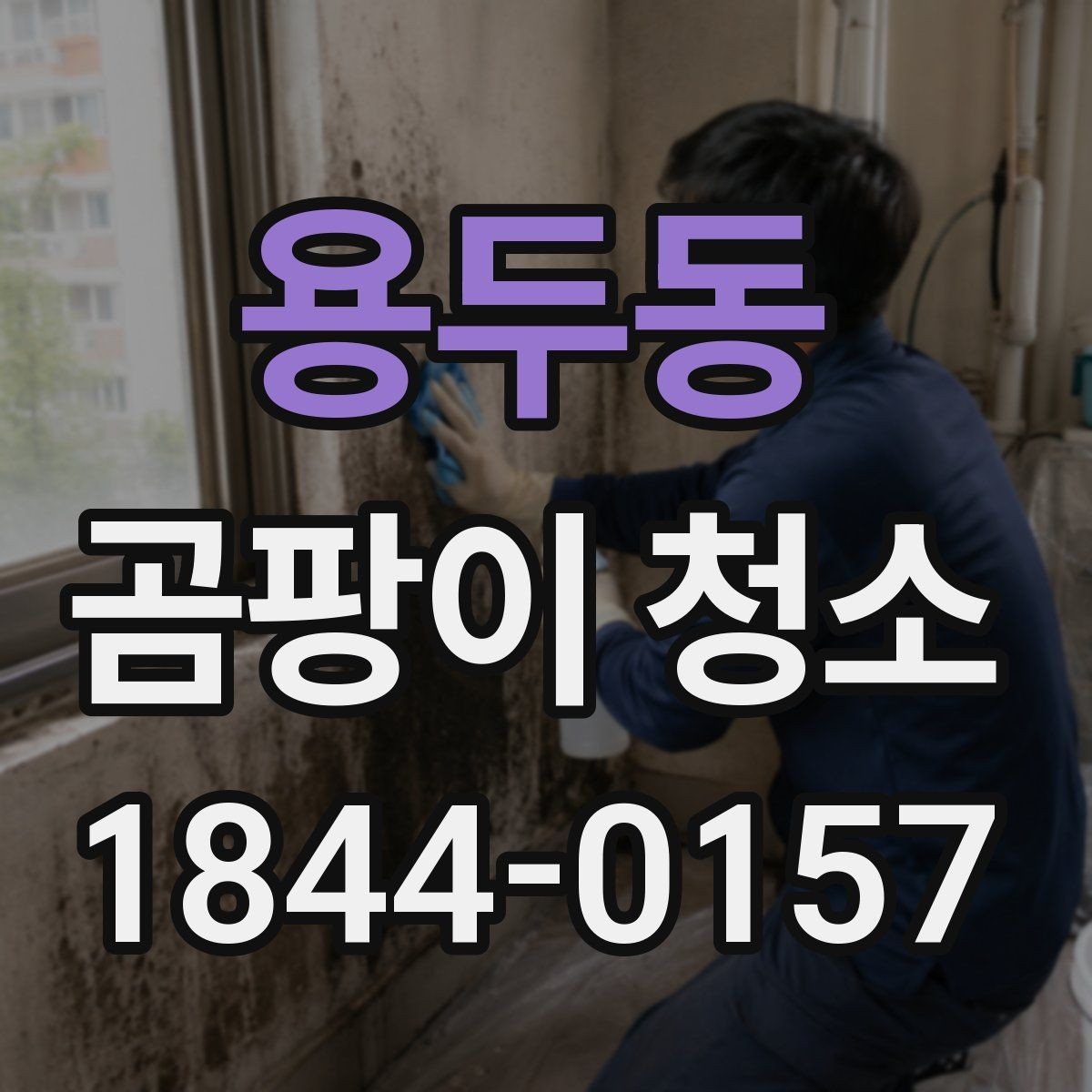 용두동 곰팡이 청소 입주 전 꼭 점검할 오염 포인트