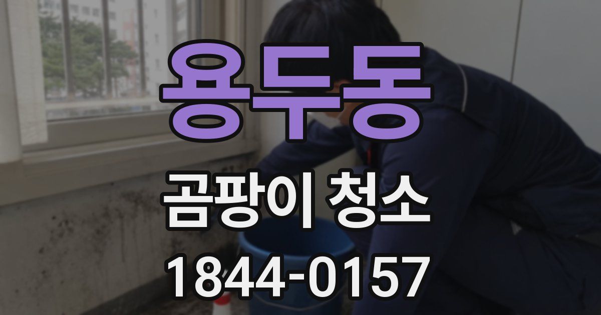 용두동 곰팡이 청소