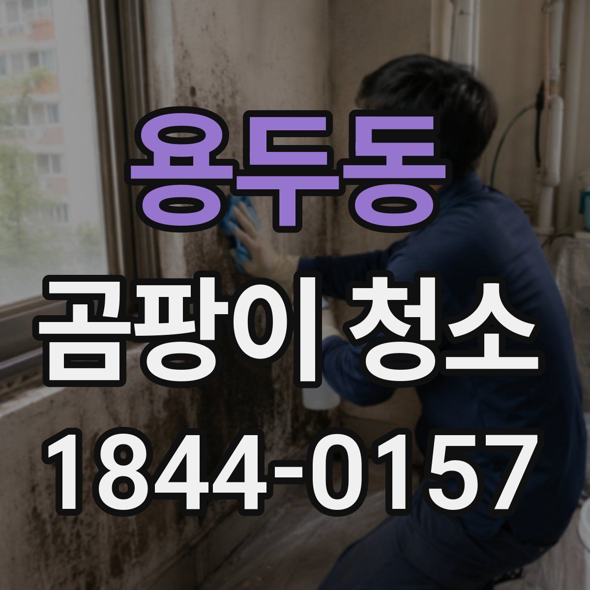 용두동 곰팡이 청소