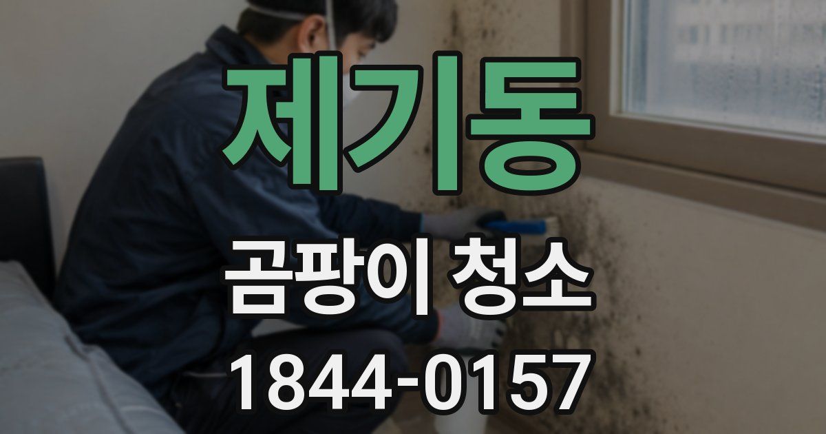 제기동 곰팡이 청소