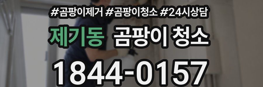 제기동 곰팡이 청소