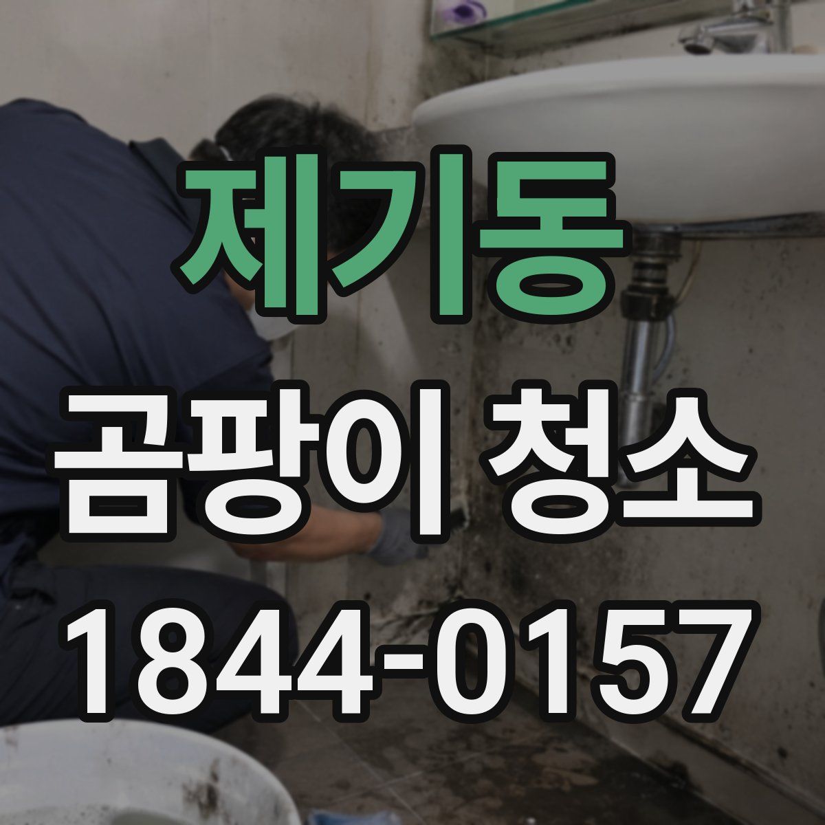 제기동 곰팡이 청소