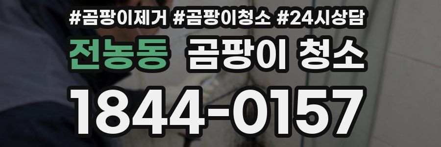 전농동 곰팡이 청소