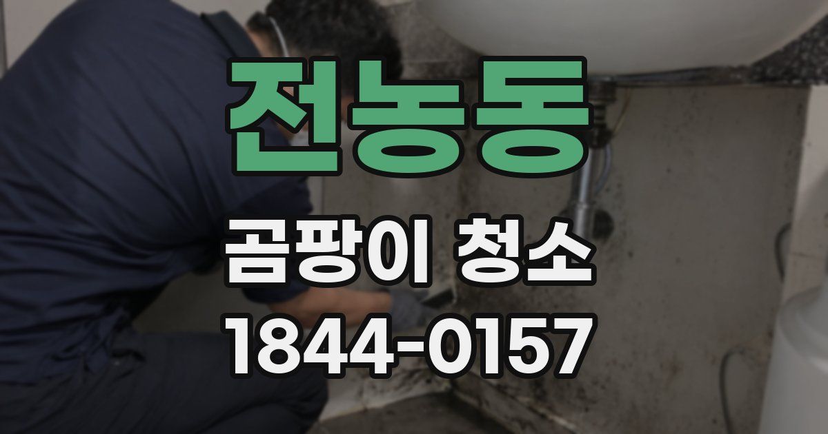 전농동 곰팡이 청소