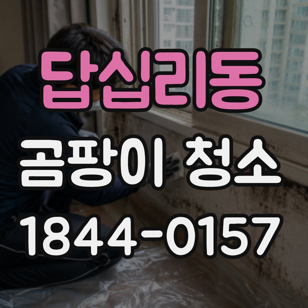답십리동 곰팡이 청소