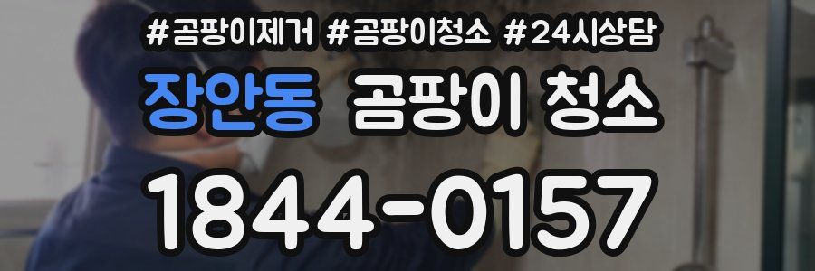 장안동 곰팡이 청소