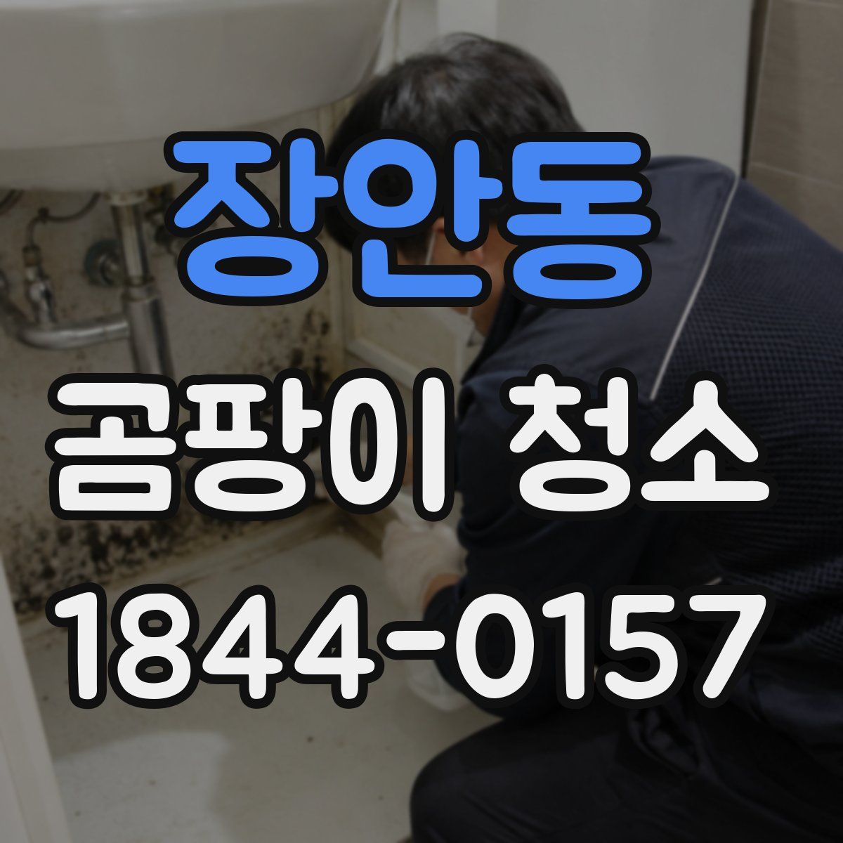 장안동 곰팡이 청소