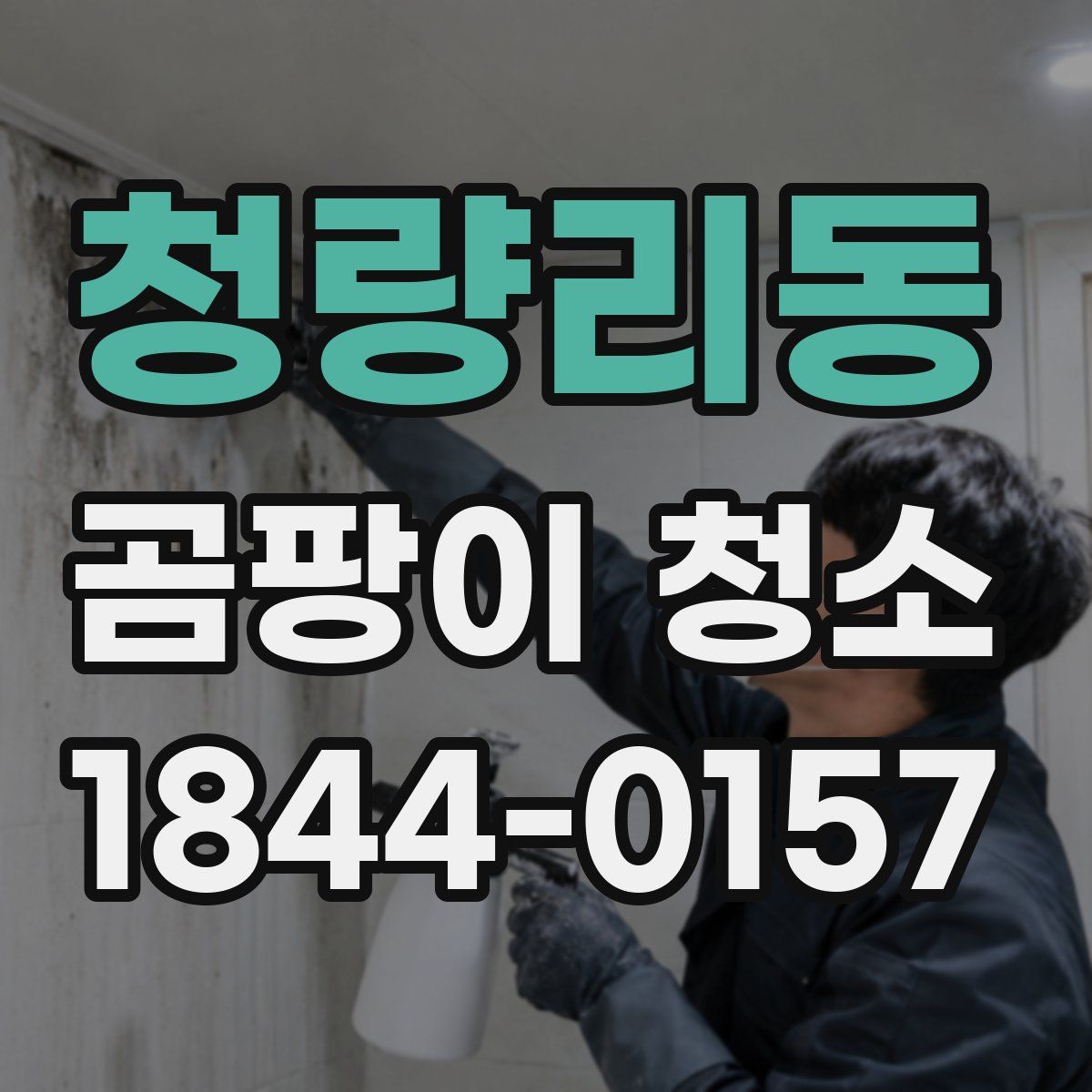 청량리동 곰팡이 청소