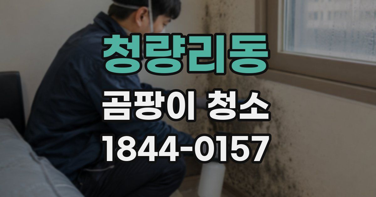 청량리동 곰팡이 청소