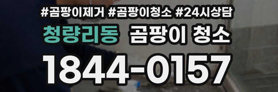 청량리동 곰팡이 청소