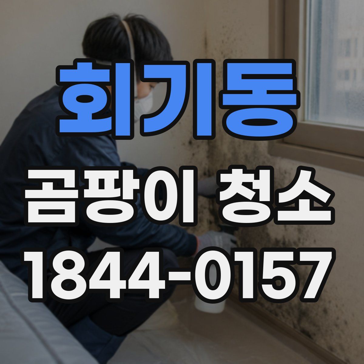 회기동 곰팡이 청소