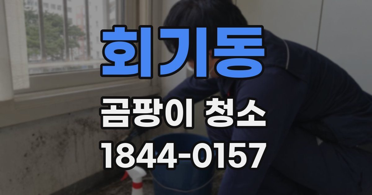 회기동 곰팡이 청소