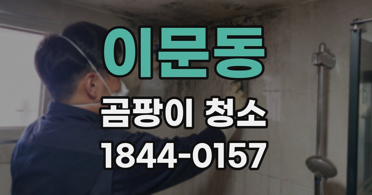 이문동 곰팡이 청소