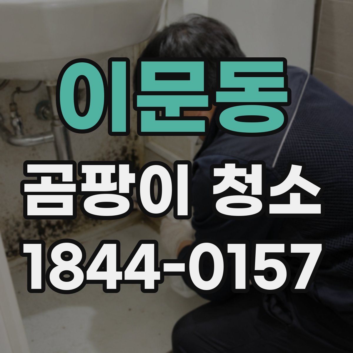 이문동 곰팡이 청소