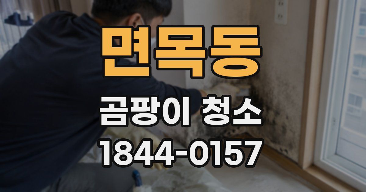 면목동 곰팡이 청소