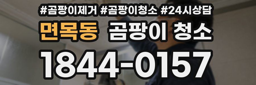 면목동 곰팡이 청소