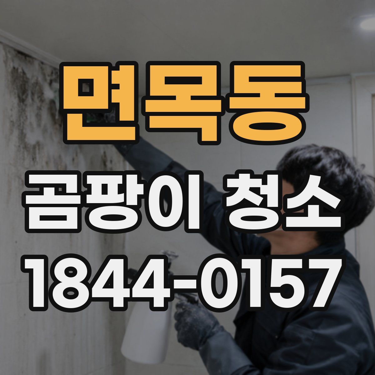 면목동 곰팡이 청소