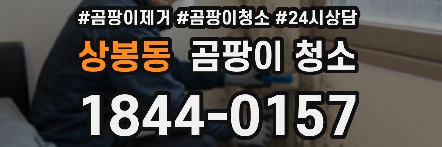 상봉동 곰팡이 청소