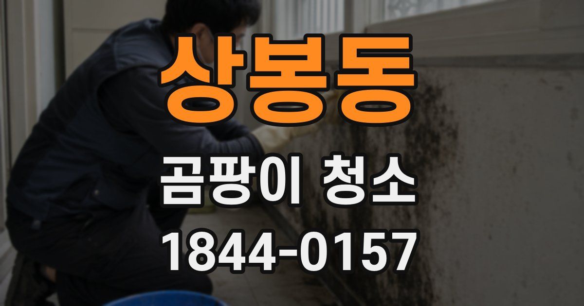 상봉동 곰팡이 청소