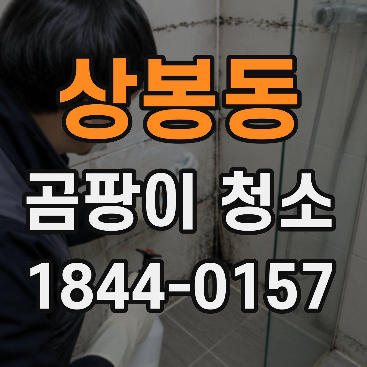 상봉동 곰팡이 청소