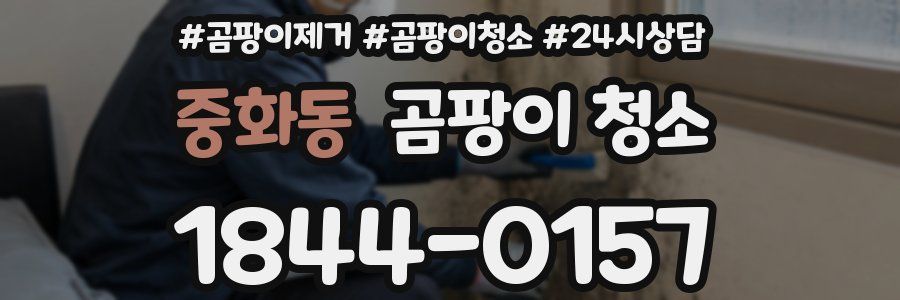 중화동 곰팡이 청소
