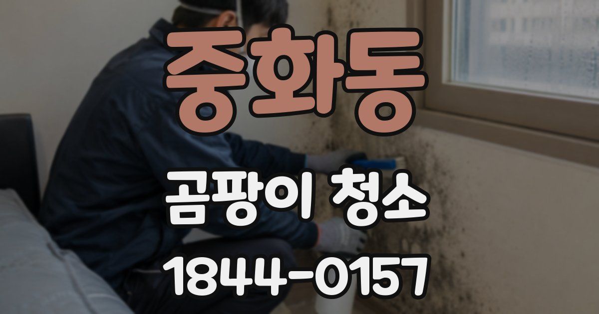 중화동 곰팡이 청소